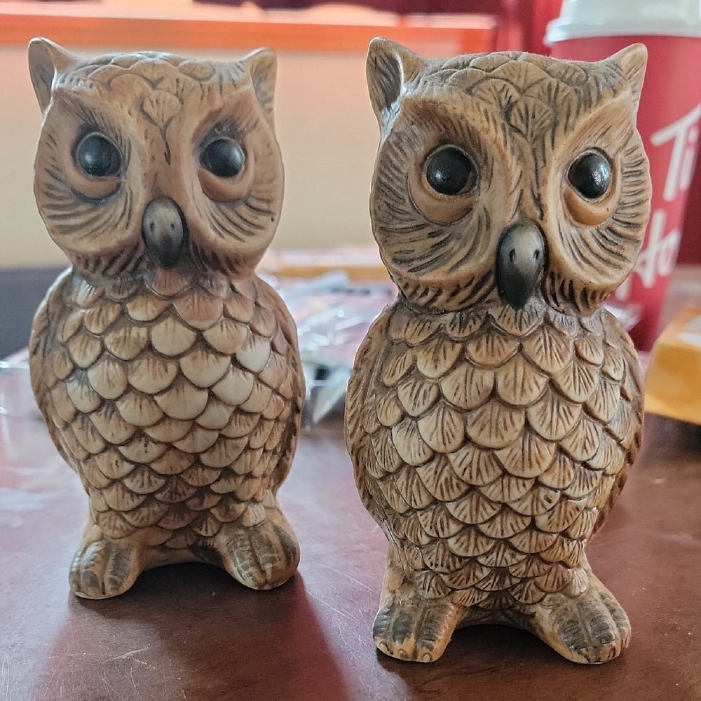 Charming Brown Owl Figurines